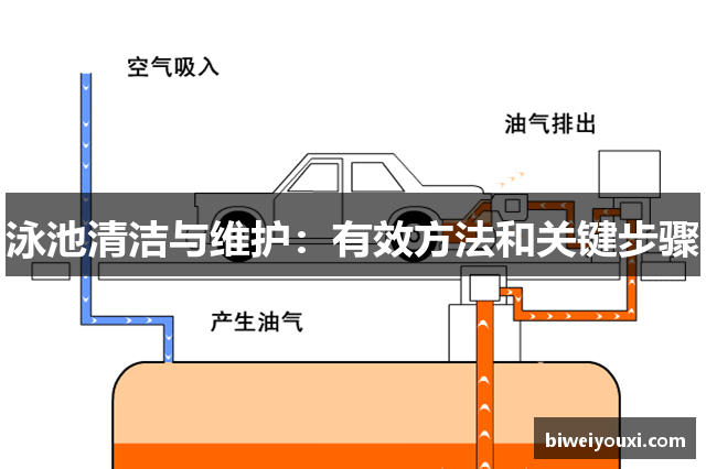 泳池清洁与维护：有效方法和关键步骤