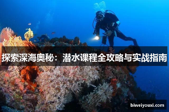 探索深海奥秘：潜水课程全攻略与实战指南