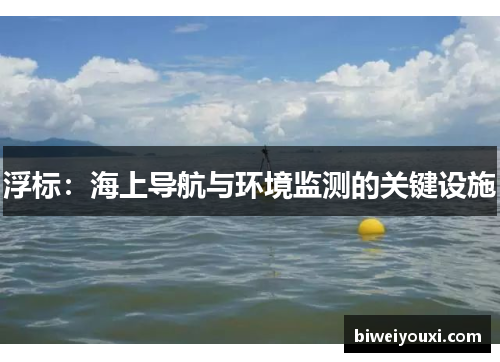 浮标：海上导航与环境监测的关键设施