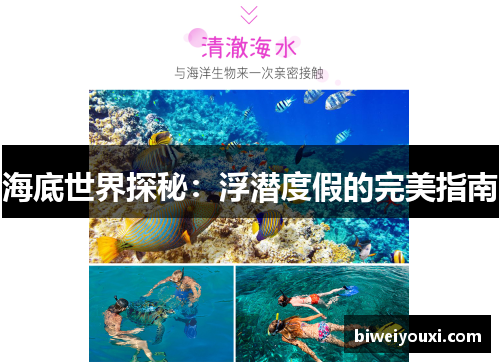 海底世界探秘：浮潜度假的完美指南