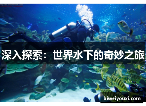 深入探索：世界水下的奇妙之旅