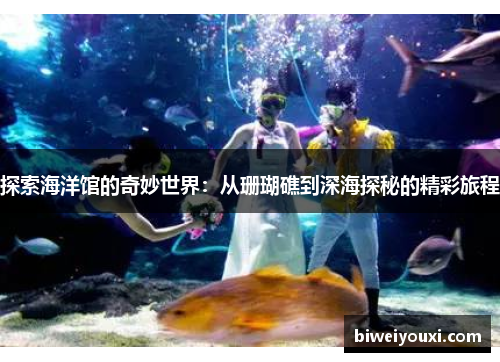 探索海洋馆的奇妙世界：从珊瑚礁到深海探秘的精彩旅程