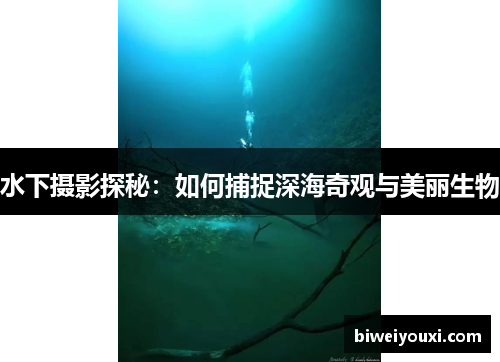 水下摄影探秘：如何捕捉深海奇观与美丽生物